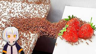 Download lagu 1,000 Ants vs. Obstacles | ChuyMine REACTS to TerraVerde Spanish mp3