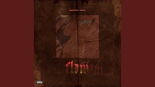 Flaw Music Video