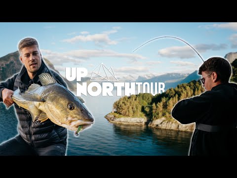 Wir angeln in NORWEGEN vom Ufer auf Dorsch & Pollack! UPNORTH-Tour (5)
