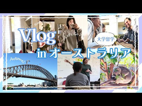 【オーストラリア留学Vlog】目白大生の留学ライフ｜シドニー大学の授業✍、ランチタイム🥗、ルームツアー📸，シドニー湾のフェリー観光⛴　#vlog #オーストラリア #留学