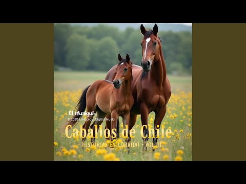 TILÍN-CORRAL LA GLORIA