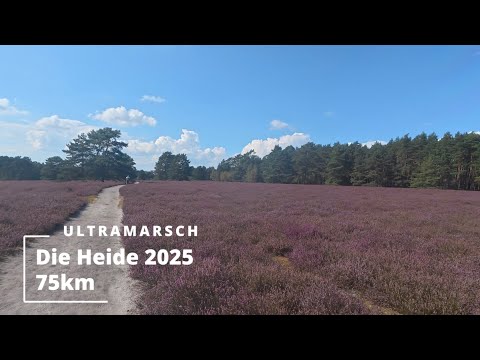 Ultramarsch - Die Heide - 2025 - in 13:12h | Mein Review-Video