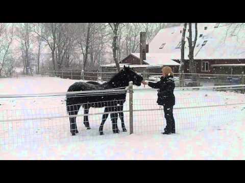 Godt de ikke er hvide...