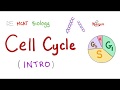 The Cell Cycle Clear And Simple Biology MCAT GCSE