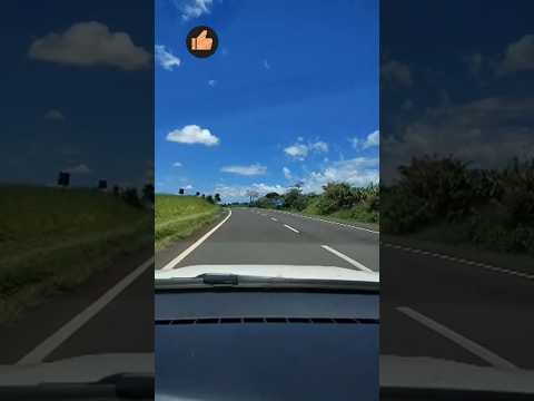 #parana #caminhoneiro