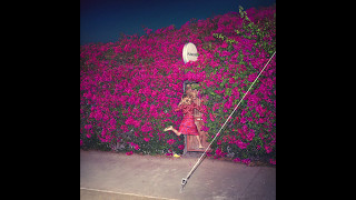 Feist - A Man Is Not His Song