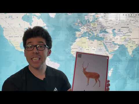 How to Pronounce Deer in English