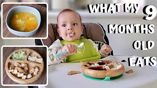 WHAT MY 9 MONTHS OLD EATS IN A DAY: Homemade Baby Food & Meal Ideas, Teaching Baby To Eat With Spoon