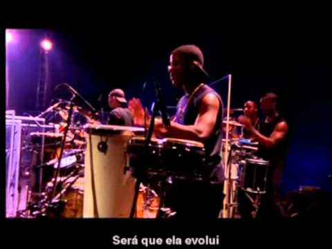 Gatas extraordinárias video