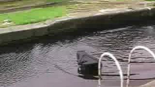 Video thumbnail for Tribal Planet: Mucking About on the River by TheMusicRoomOnline