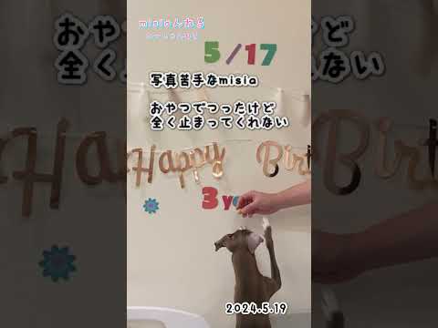 リヤスカ v.カルーガ.jpg