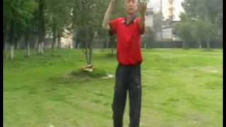 preview picture of video 'Wild Goose Chi Kung (Da Yan Qi Gong) 1st 64 - Wong Fook-Sang'