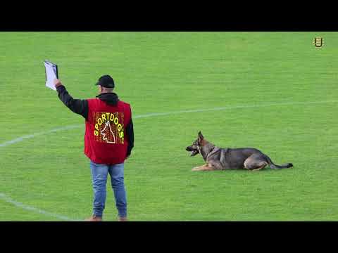 Constantin Seretis (SUI) mit Phuma von der Lobdeburg in der Unterordnung