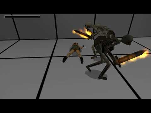 Video 6