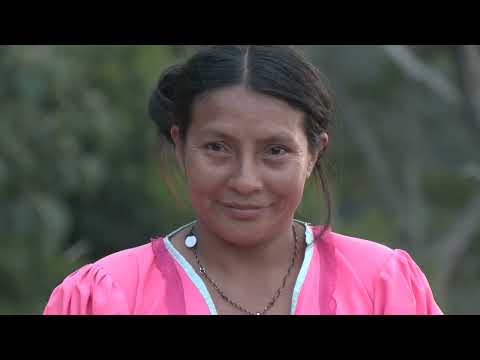 Ibanakuara: Tradición Viva en el Corazón de Pijao, Quindío