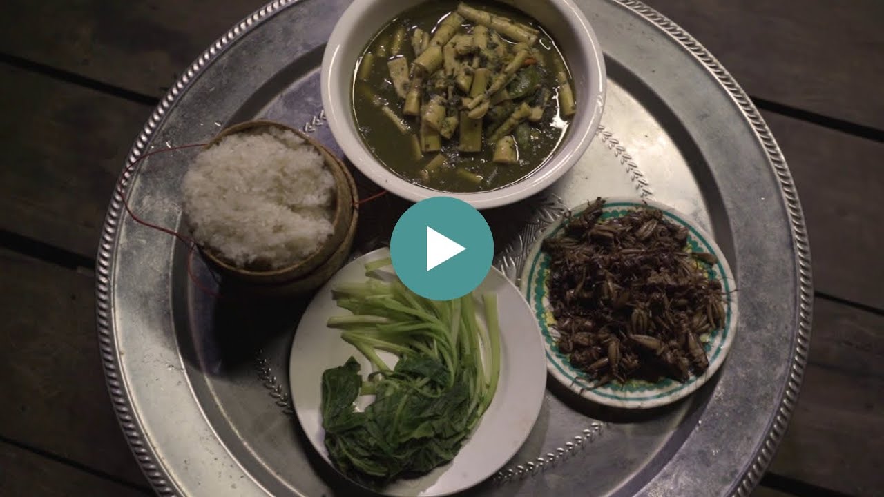 EU & Laos: 45 Years of Strong Partnership