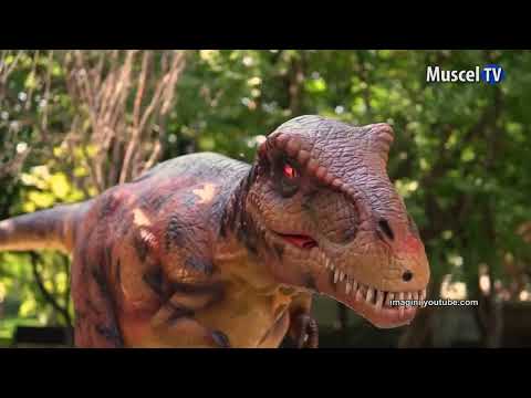 Jurnal MUSCEL TV 30.03.2022 Noutăți la Simfonia Lalelelor