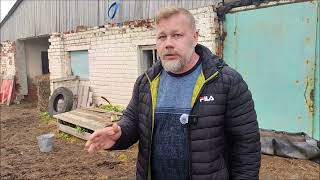 Дожившие до октября наволокские коровы обрели новый кров в Долгово