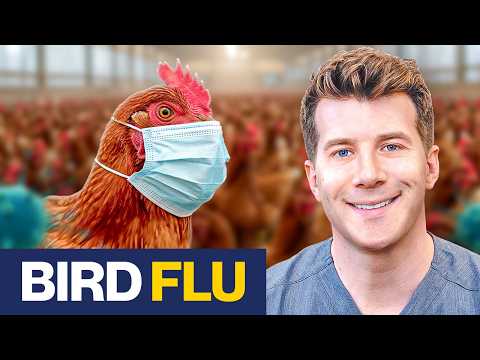 Doctor explains Bird Flu (Avian Flu H5N1) | Causes, symptoms, treatment
