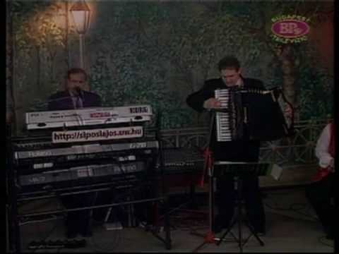 POLKA VIRTUOZA - RADOVAN MARIC es NOSZTALGIA EGYUTTES - BPTV - LIVE