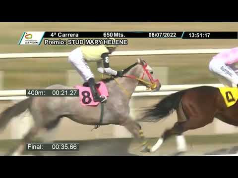 220708 c04 -  DOGCAT - HIPODROMO LAS PIEDRAS