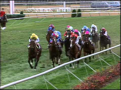 1994 Breeders' Cup Turf