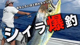 日本最西端の与那国島で村田基爆釣行♪ #fishing #釣り #ルアー