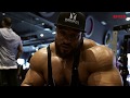Roelly
