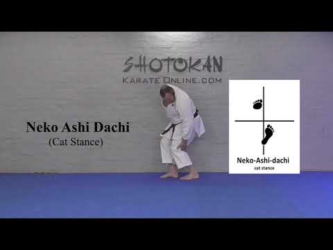 Neko Ashi Dachi Shotokan Karate Stances