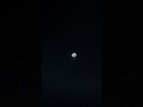 YouTube 썸네일