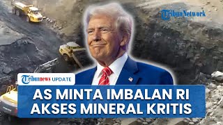 Trump Bebaskan Tarif Khusus Sawit hingga Kopi Indonesia, Balasannya Minta Akses Mineral Kritis RI