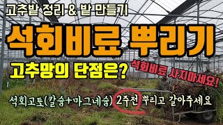 고추농사 석회고토뿌리기 고추밭정리 및 고추밭만들기 고추망(오이망)의 단점은?