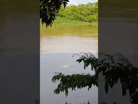 desde Marín san Bernardo del viento #seguidores