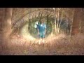 Dancing Trees