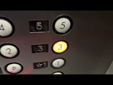 iPhone 13 Pro Max: US Traction West Elevators/Lifts @ Williams Centre Tucson AZ