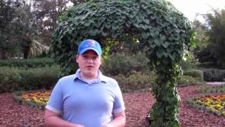 Hidden Gems: Universal Orlando&#39;s Butterfly Garden