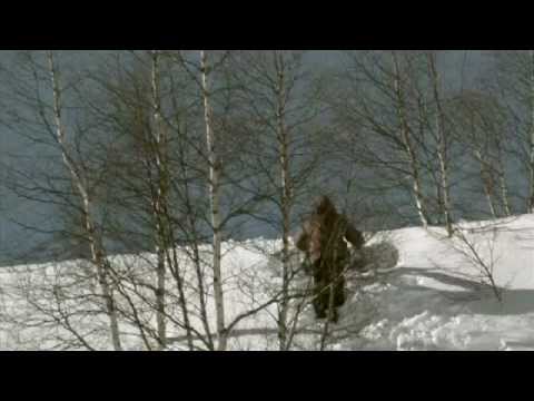 DAILY FLURRIES Team Movie # 2 Michi Stanschitz