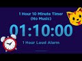 1 Hour 10 minute Timer Countdown (No Music) + 1 Hour Loud Alarm
