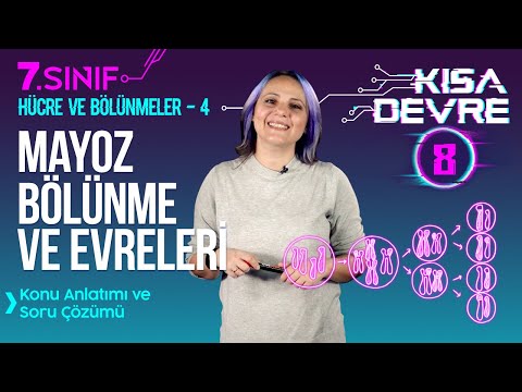 Mayoz Bölünme: Evreleri, Özellikleri, Eşeyli Üreme | 7. Sınıf Fen #2022 | Lightboard ile Ders #8