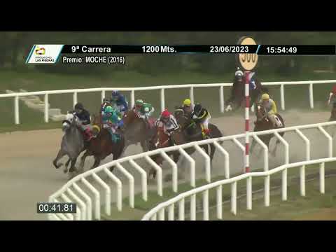 230623 c09 - ZATOICHI - HIPODROMO LAS PIEDRAS