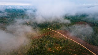 Tarp debesų | Reikės papompuoti iki Džekartos