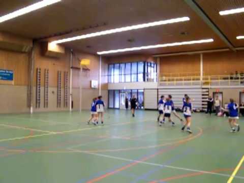 meervogels 2 x stip mis.mp4