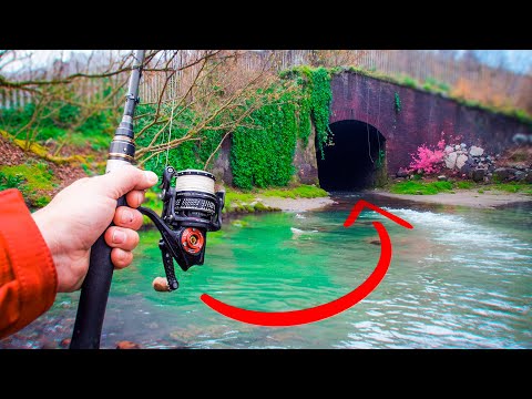 Exploring Tiny Streams... Finding Hidden Gems