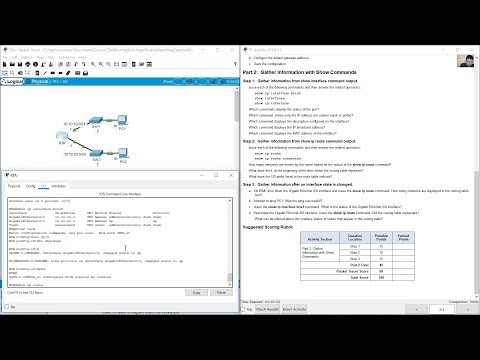 1.1.4.5 - Packet Tracer - Configuring and Verifying a Small Network
