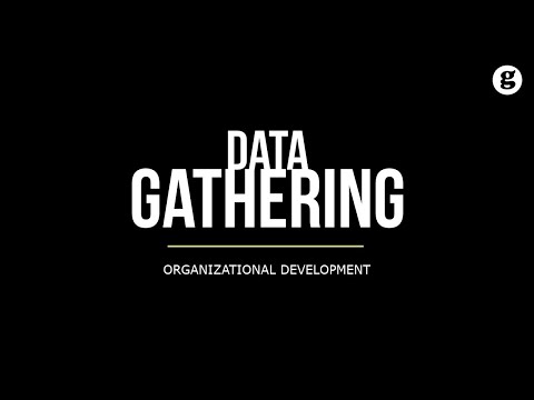 What is Organization Development