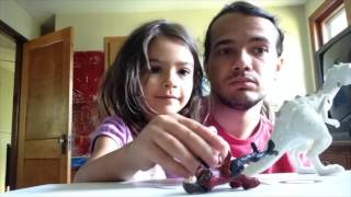 2016, a year in the life. (better version)