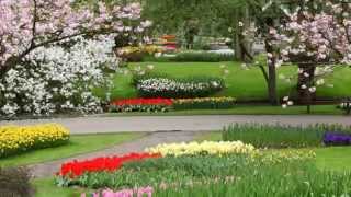 Egy vidéki kertben (An English garden) - Nana Mouskouri