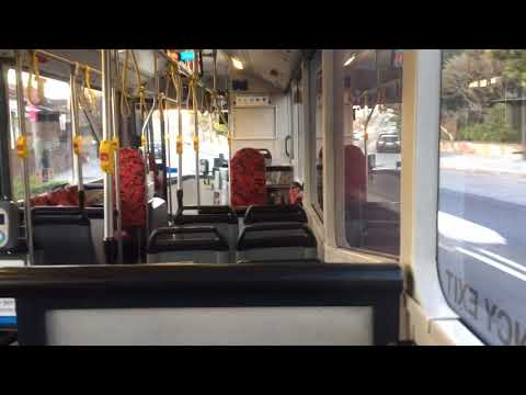 Perth gear ratio: Transit Systems Sydney m/o 1305 - Mercedes-Benz O 405NH CNG