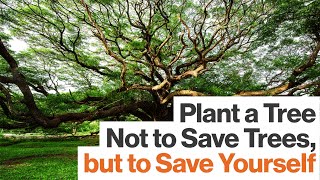 The More You Know about Plants, the More You Feel a Part of the World