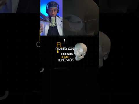 HUESOS DEL CRANEO